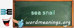 WordMeaning blackboard for sea snail